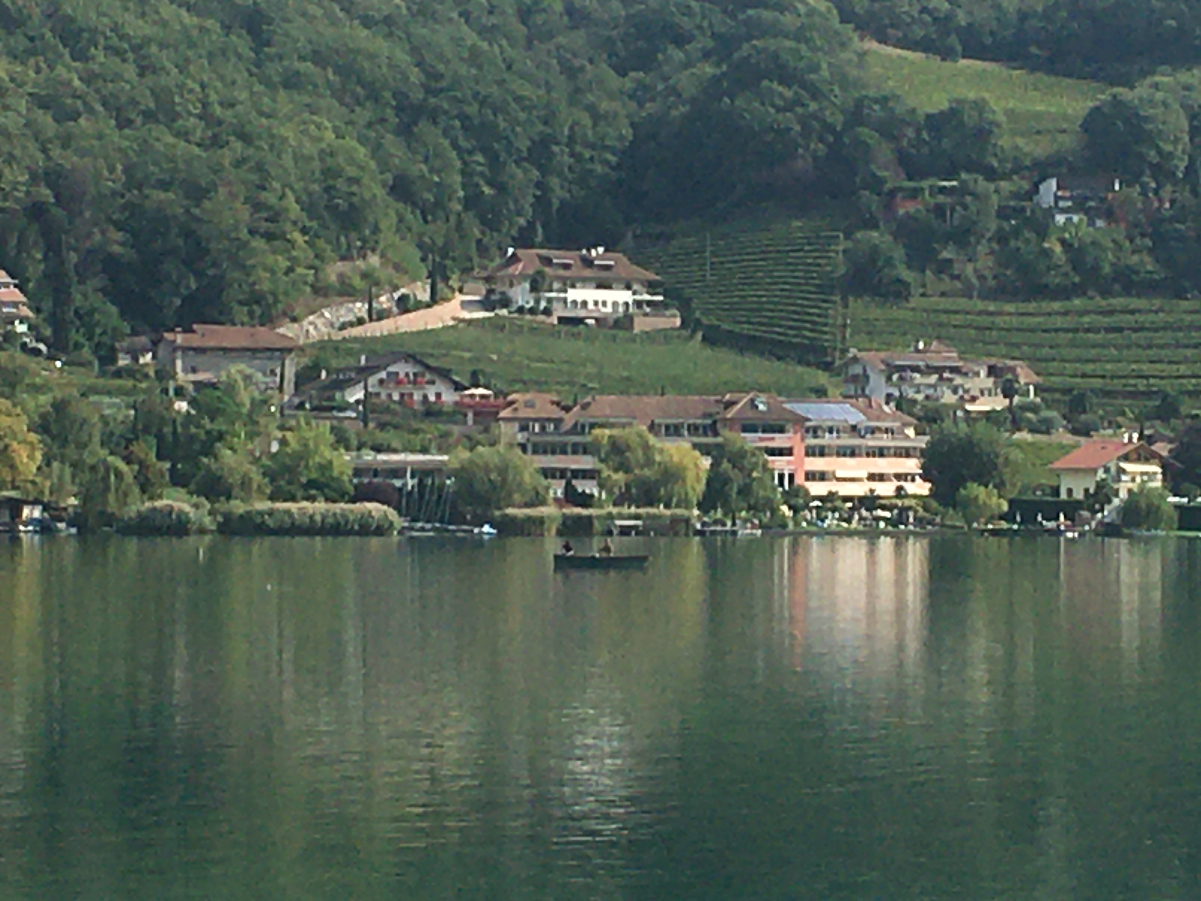Aussicht_2.jpg