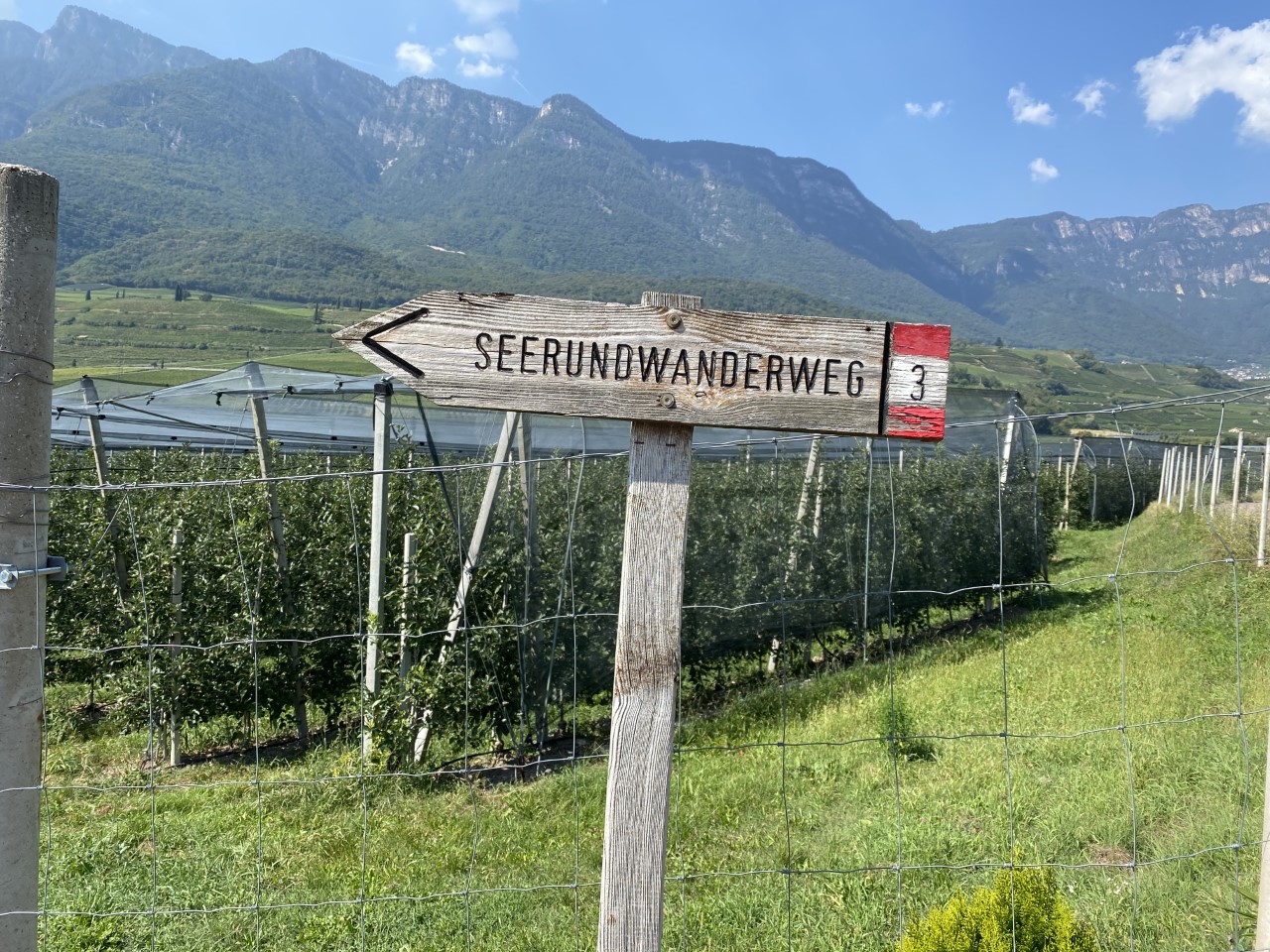 Wegweise_Suedtirol.jpg